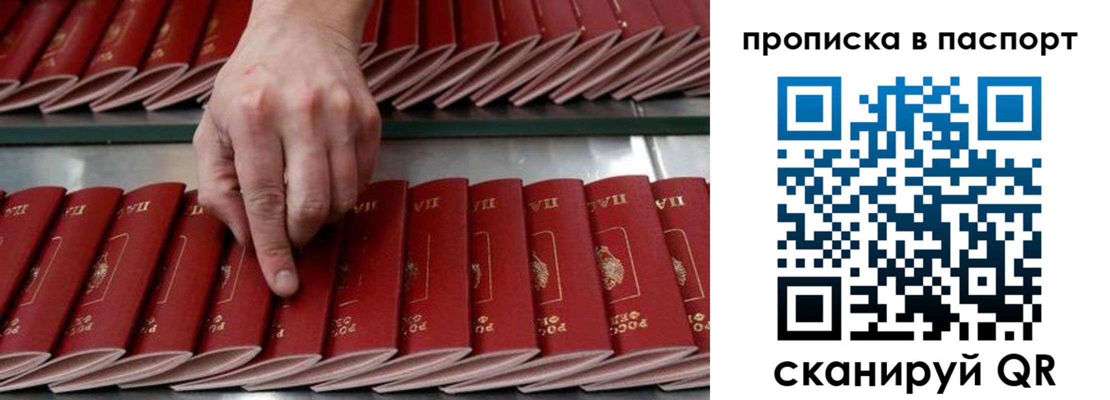 регистрация для школы в Белой Калитве